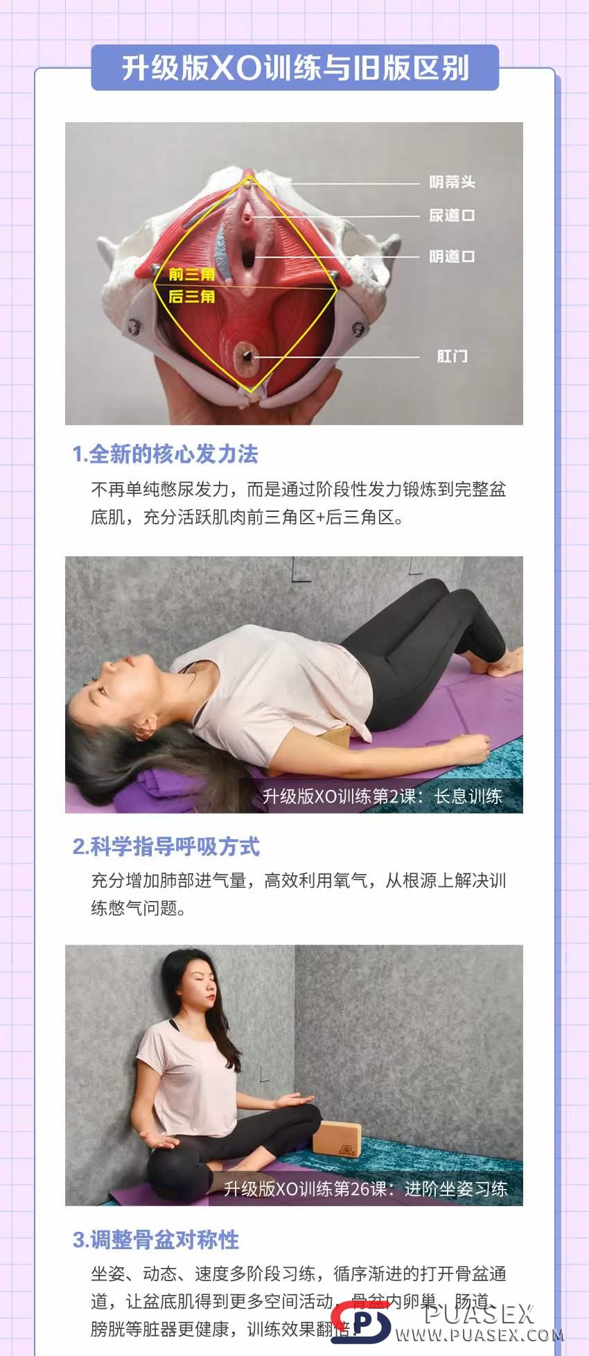 李熙墨XO学院（升级版XO训练高巢课）百度网盘下载